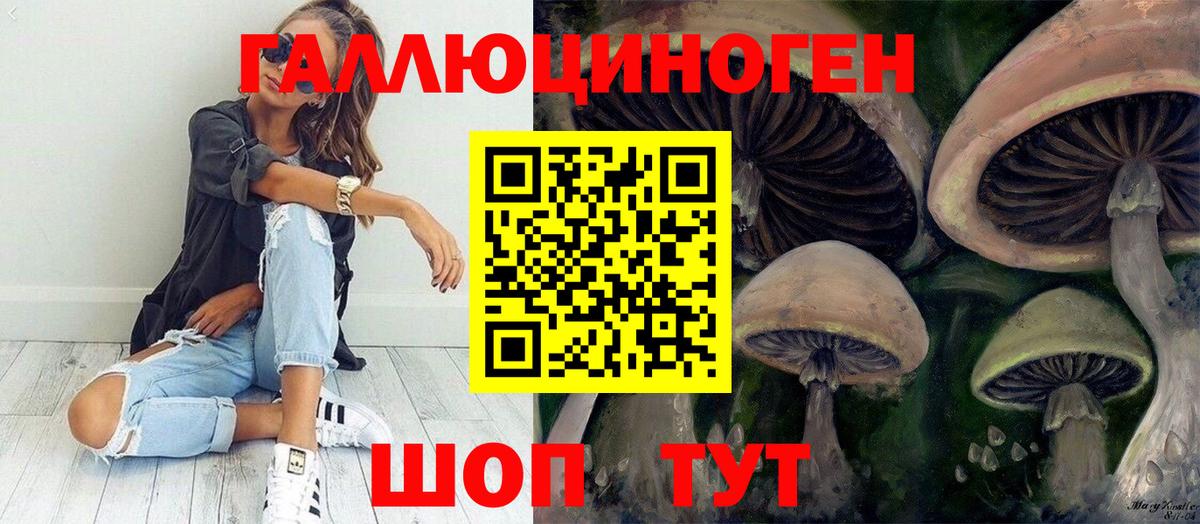 Псилоцибиновые грибы Psilocybe  Вход с VPN  Кузнецк 